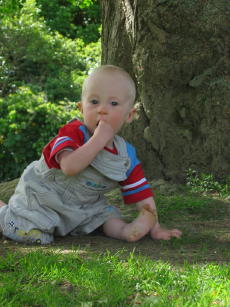 Click to see next picture