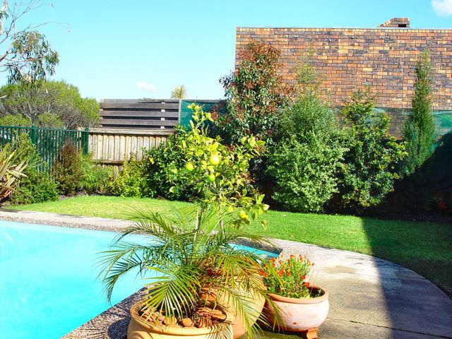 Click to see thumbs page