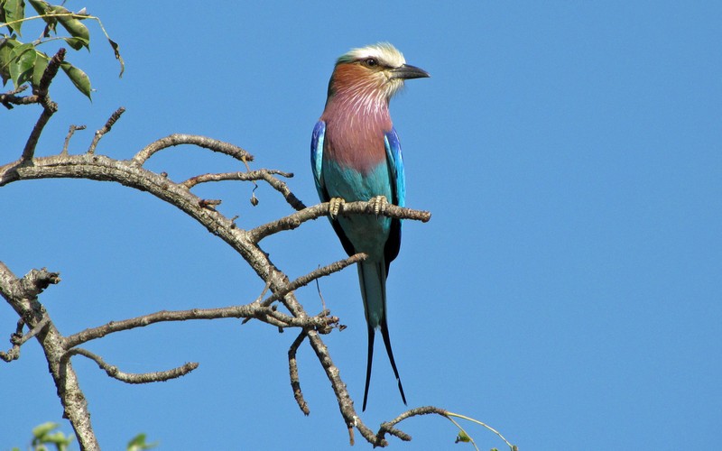 Click to see next picture