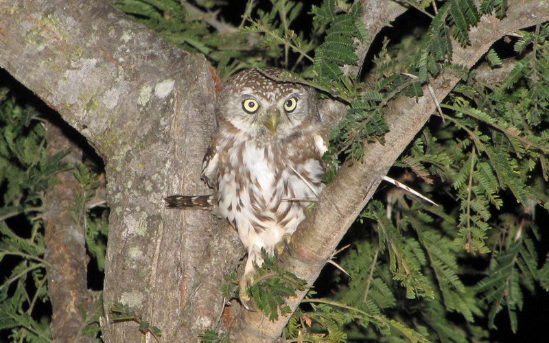 Click to see next picture